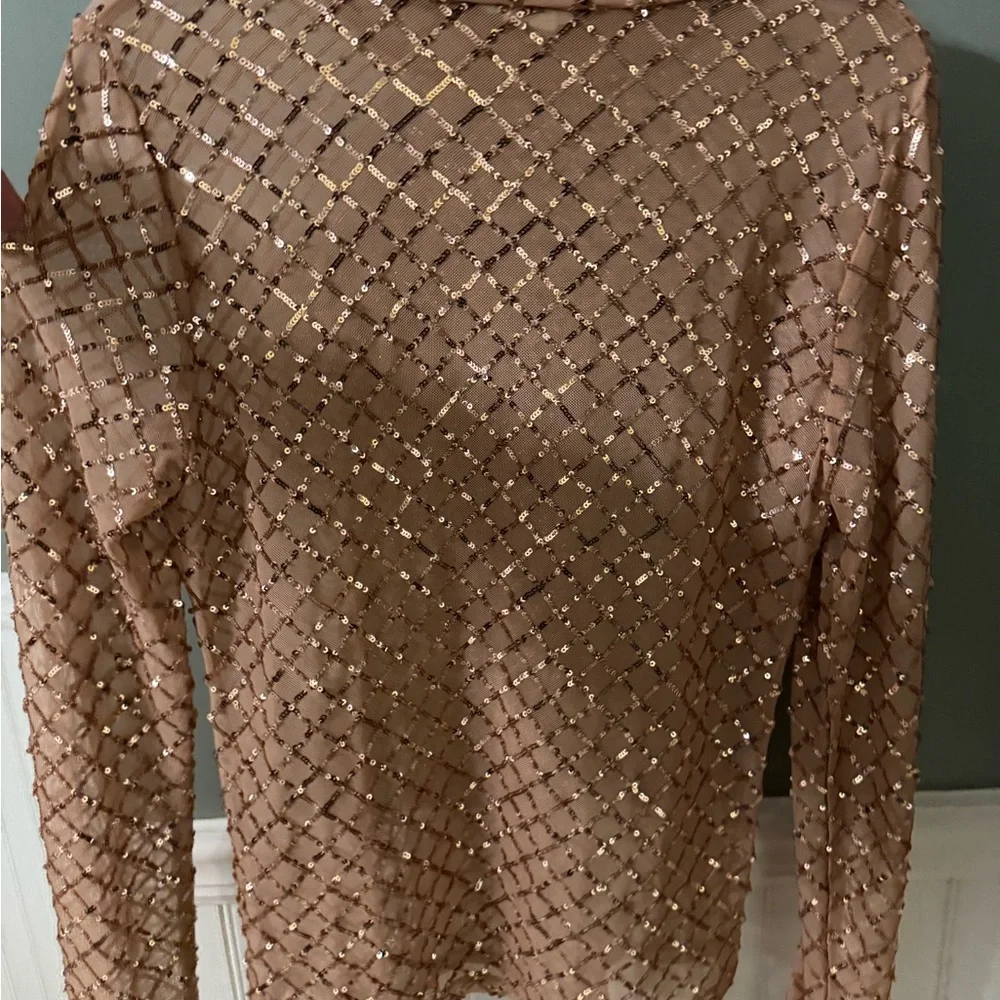 Pilcro by Anthrpologie Shimmering Sequin Blouse - Brown Medium - Picture 5 of 6